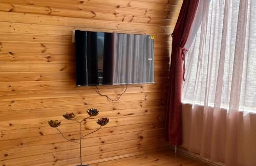Gergeti Apartamento | Vaso-Levani Kazbegi Cottage