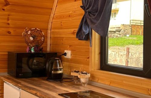 Gergeti Apartamento | Vaso-Levani Kazbegi Cottage