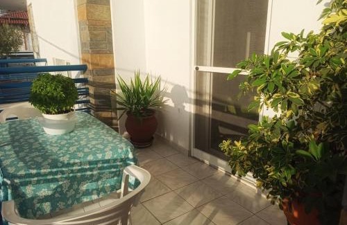 Flogita Apartamento | Vassilikos Apartment