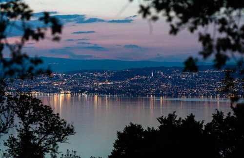 Lugrin Apartamento | Vaste appart avec vue sur Lac