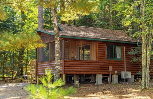 Orr Cabina | Vaulted Ceilings and a Stunning Main Room (Pet-Friendly)