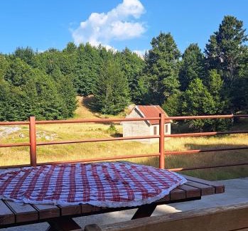 Donje Polje Apartamento | VD Forest villa