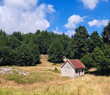 Donje Polje Apartamento | VD Forest villa
