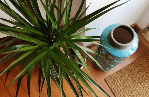 Sao Jose Apartamento | VDS Guesthouse Cosy Apartment in City Center