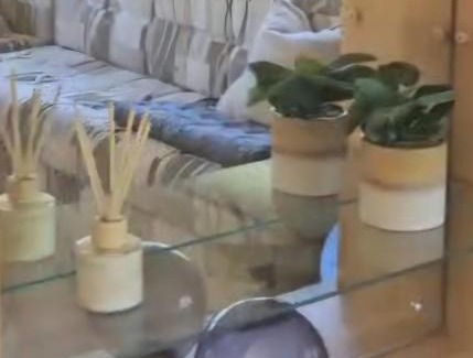 Beerze Apartamento | Vechtdal Beerze Buren 2