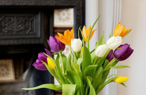 Hammersmith Broadway Apartamento | Veeve - In the Clouds