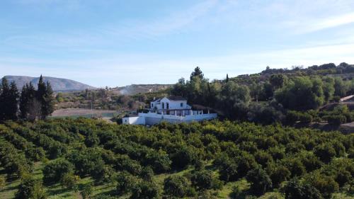 Alhaurín el Grande Casa | Vega Fahala Organic Orchard & Vacation Villa