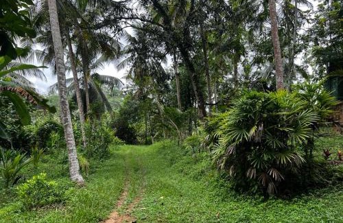 Kirantidiya Casa | Vegan Nature Resort