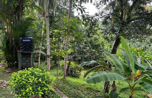 Kirantidiya Casa | Vegan Nature Resort