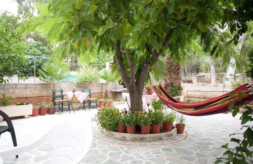 Elliniko-Argyroupoli Cama Y Desayuno | Veggie Garden Athens B&B