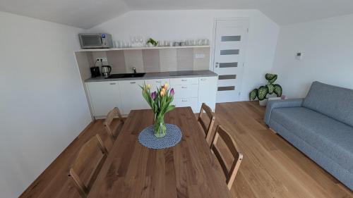 Nove Mesto na Morave Apartamento | Vejminek NMNM