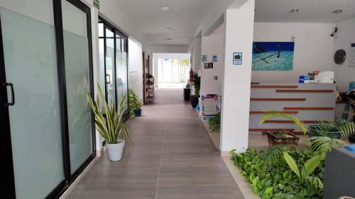 Puerto Morelos Apartamento | Vela's Condos Ocean Front