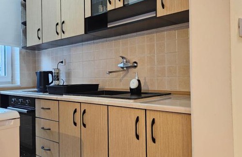 Pale Apartamento | Velike Šume Apartment