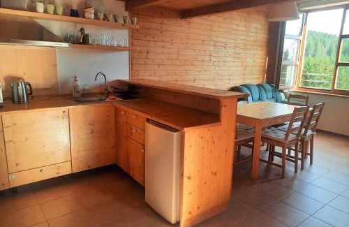 Cerny Dul Apartamento | Velký apartmán Cihlarka