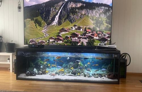 Lillehammer Apartamento | Velta 2D