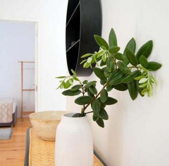 Ponta Delgada Casa | Verde'Água Family Home
