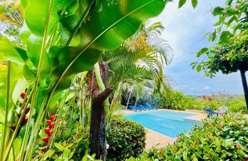 Doradal Casa | Verde Amanecer