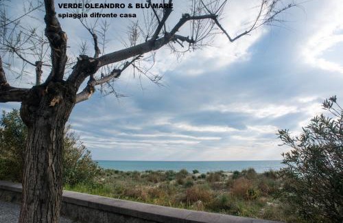 Marina di Ascea Apartamento | Verde oleandro & Blu mare