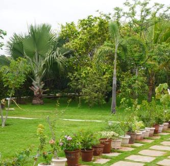 Sanwer Complejo | Verde Vista Farm & Resort, Indore