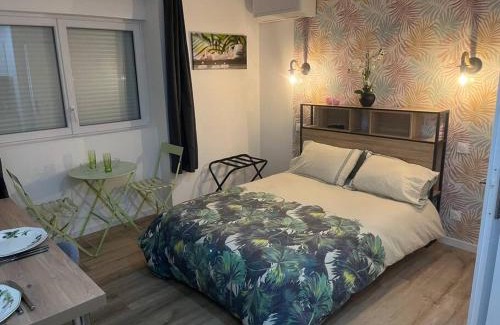 Chasse-sur-Rhone Apartamento | VERDI studio COSY au calme parking gratuit