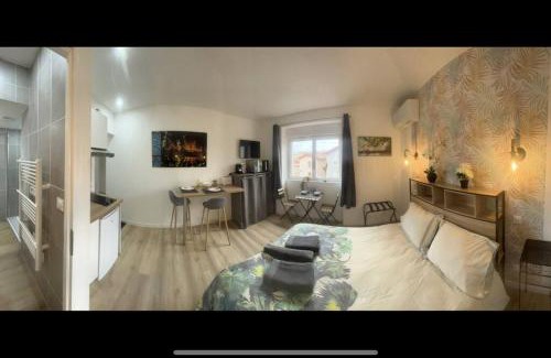 Chasse-sur-Rhone Apartamento | VERDI studio COSY au calme parking gratuit