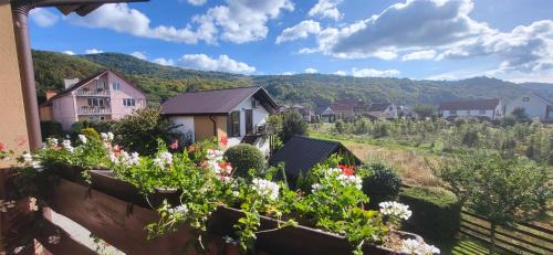 Solochyn Apartamento | Veronika Domik
