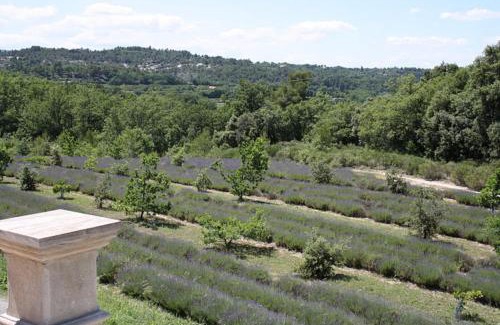 Bonnieux Villa | very beautiful and charming 18th century estate in bonnieux, luberon area, in provence - 8 personnes