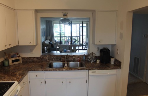 Tarpon Springs Condominio | Very Clean Waterfront Condo Close to Tarpon Springs and Dunedin