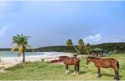 Florida Apartamento | Very nice complex of 4 individual apartments 3 minutes from ferry