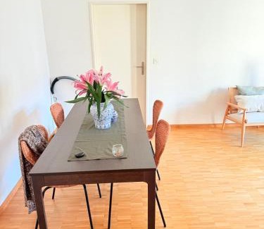 Gundeldingen Apartamento | Very nice flat 80 meter from SBB