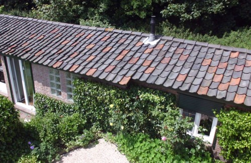 Egmond aan Zee Cabaña | Very private, just the owner around