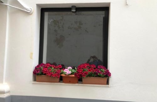 Termoli Apartamento | Via Mercato 20