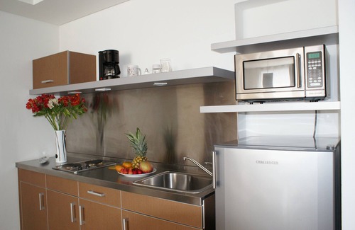 Chico Apartamento | Viaggio Nueve Tres Suites