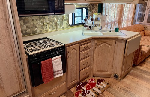 Mountain View Casa | Vibe'n in the View within walking distance from the square and Pickin' Park.