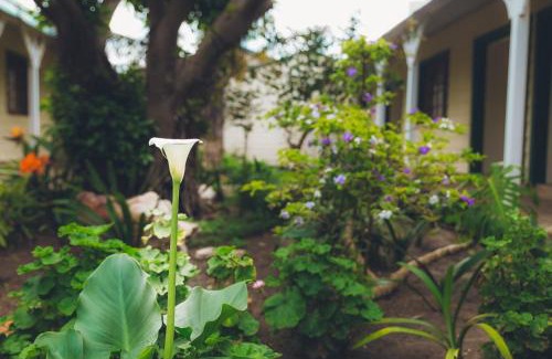 Walmer Casa | Victoria and Alfred Guest House