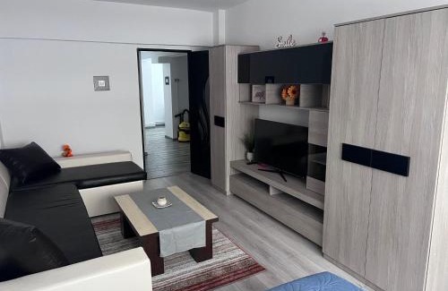 Miercurea-Ciuc Apartamento | Victoria apartment Miercurea Ciuc