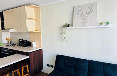 San Joaquin Apartamento | Vicuña Mackenna - Metro Rodrigo de Araya