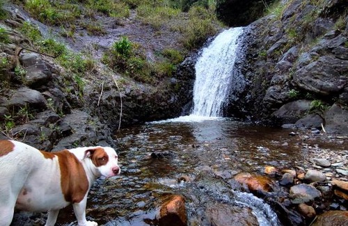 Baños de Agua Santa Apartamento | viejos tiempos