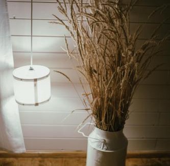 Stameriena Cama Y Desayuno | VIESU MĀJA KALNARUŠĶI