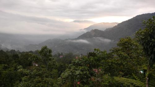 Rishop Casa | View Porjoton Mairung Gaon Homestay