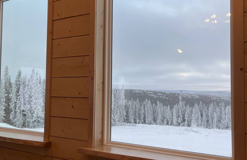 Fairbanks Cabina | View! View! View! Relax in Nature!