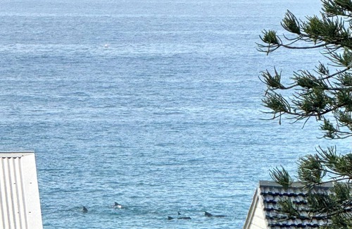 Central Coast Casa | Views Beach, Lake & Dunes -The Entrance Nth. Enjoy hot tub & 80m stroll to beach