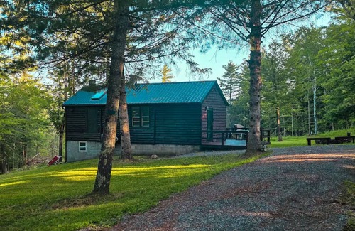 Fultonham Cabina | Views, Pines & Perfect Vibes
