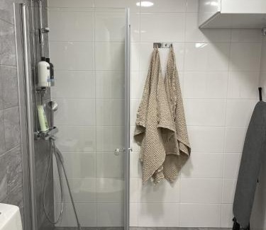 Tampere Apartamento | Viihtyisä yksiö Santalahdessa