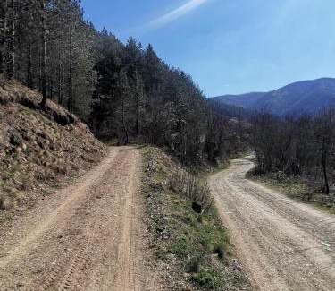 Kraljevo Casa | Vikend kuca Maksimovic