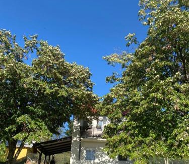 Petrovaradin Casa | Vikendica Fruška lipa