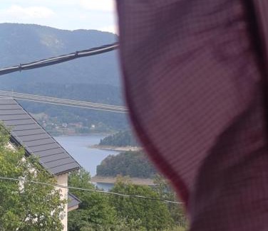 Bajina Basta Casa | Vikendica Jezdić