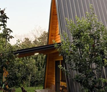 Susek Casa | Vikendica MIČIĆ