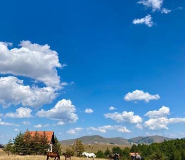 Zlatibor Casa | Vikendica Park Tornik