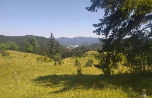 Tara National Park Casa | Vikendica Studenac